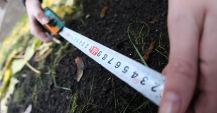 Міську/сільську раду через суд можна зобов’язати  виділити земельну ділянку учаснику АТО
