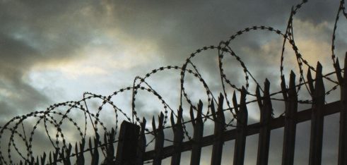 Проведено консультування у Бориспільській виправній колонії