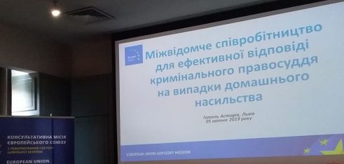 Ефективність реагування на домашнє насильство: міжвідомча співпраця у Львові