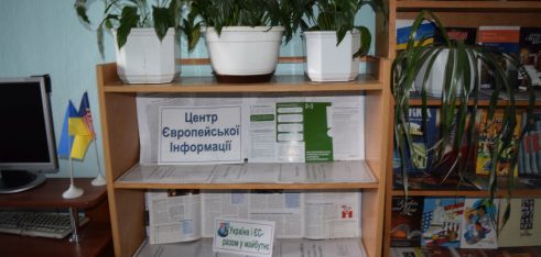 Інформаційні стенди у центральних районних бібліотеках м. Снятина та Городенки