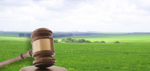 У Подільському місцевому центрі клієнтці допомогли відновити право на користування земельною ділянкою