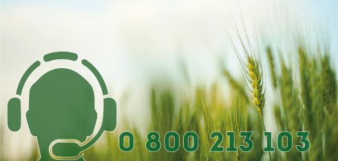 Відповіді на земельні запитання – за телефоном 0 800 213 103