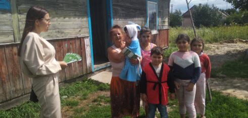 З якими питаннями звертаються роми до системи БПД та як їм допомагають юристи